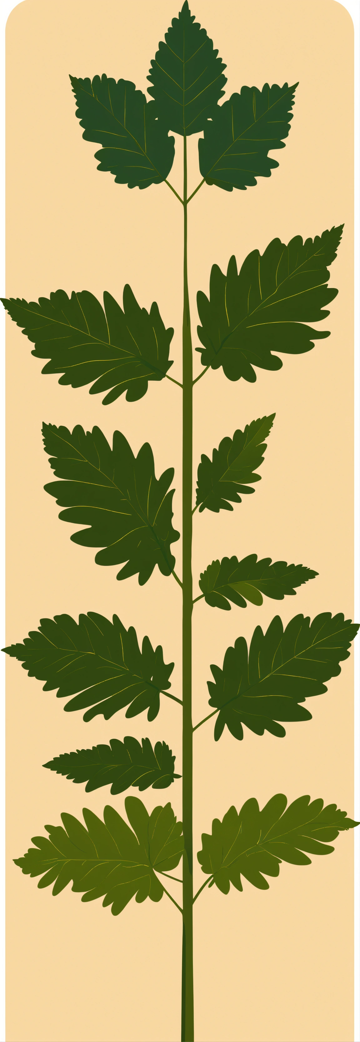 Lexica - Simple nettle plant with six leaves vector icon