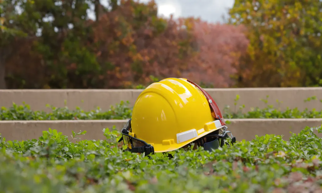 4dd2fb38-334f-41e0-a459-226d4f5e8455